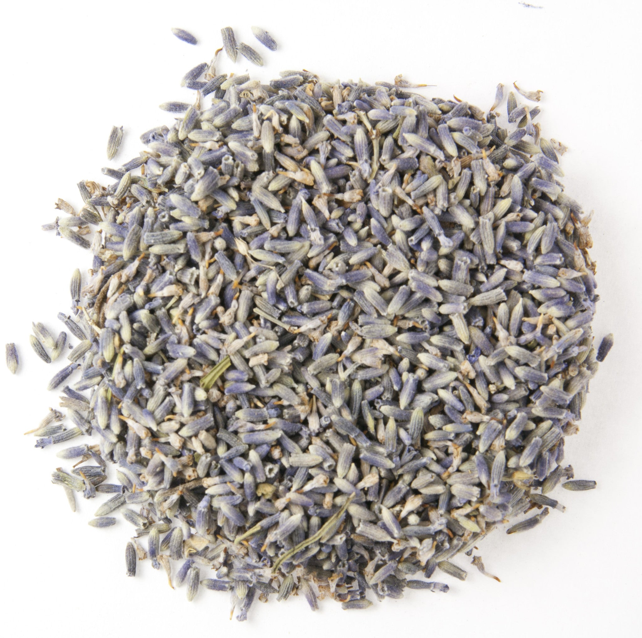 TIBET WILD LAVENDER ORGANIC