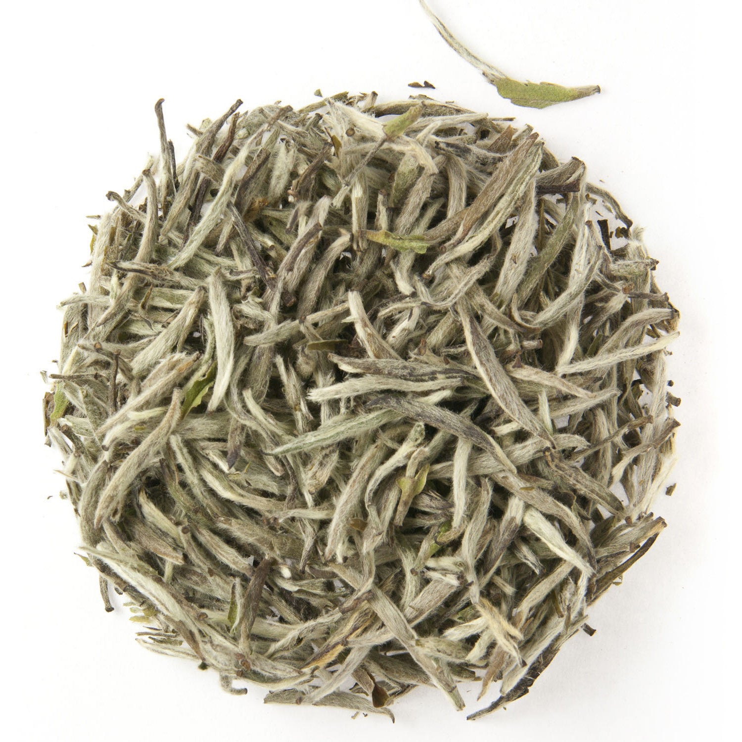 SILVER SWALLOW ORGANIC