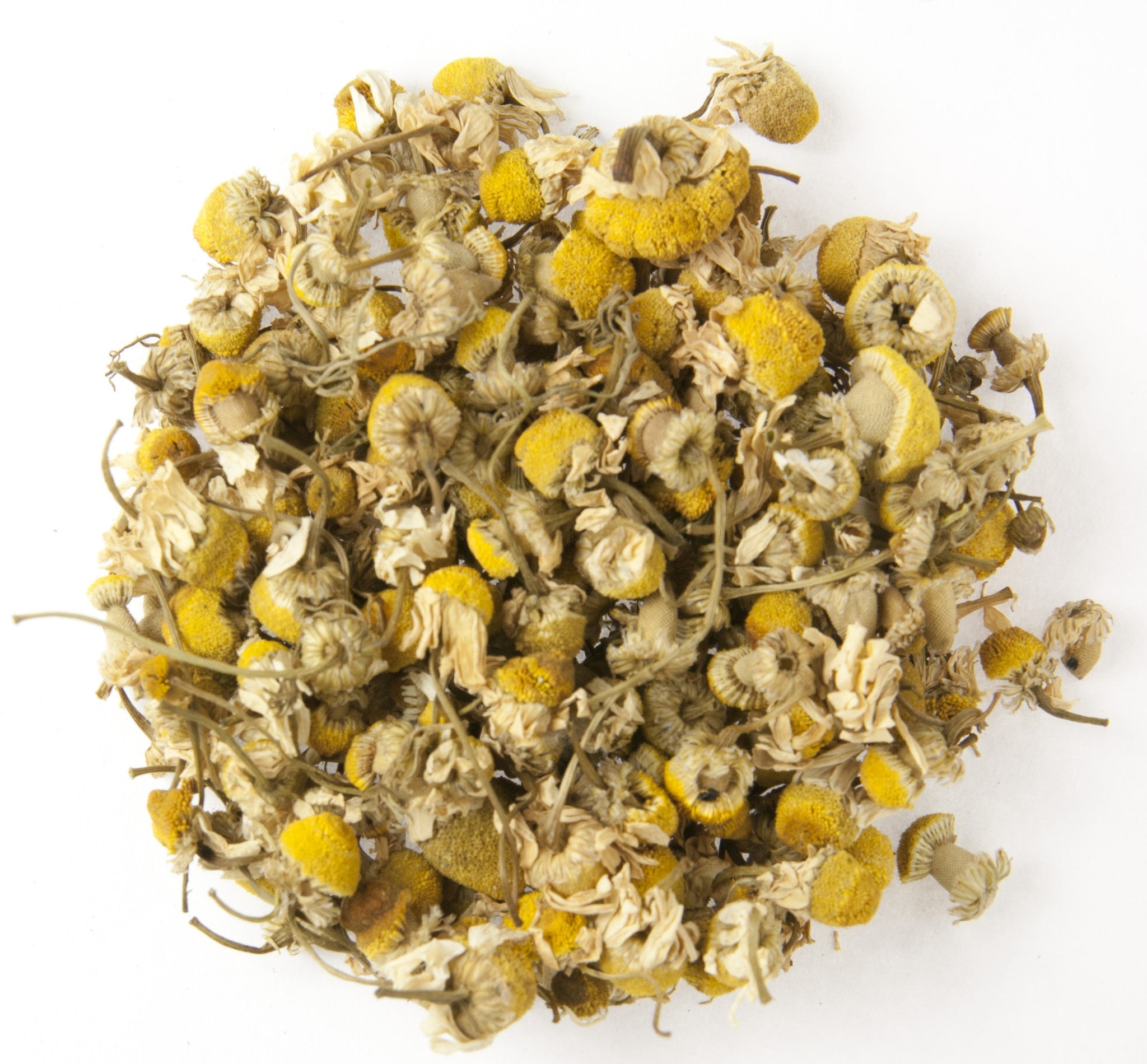 EGYPTIAN CAMOMILE