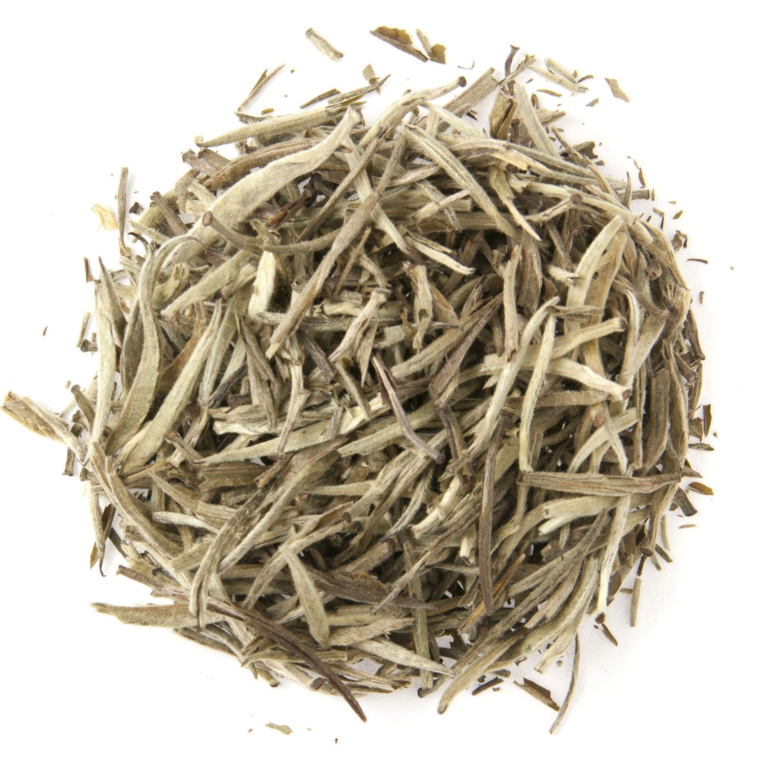 KENYA SILVERBACK WHITE