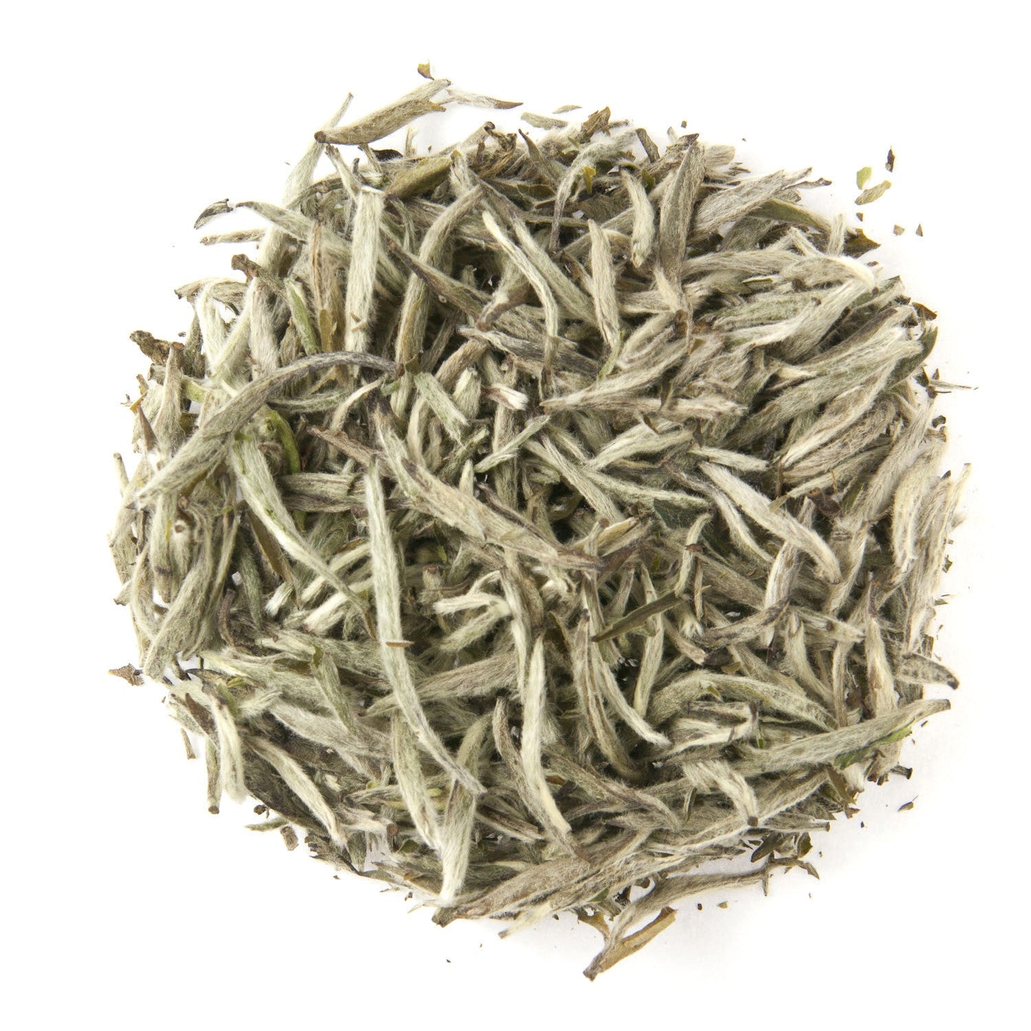 PEONY WHITE NEEDLE