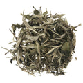 SILVER MOONLIGHT WILD WHITE