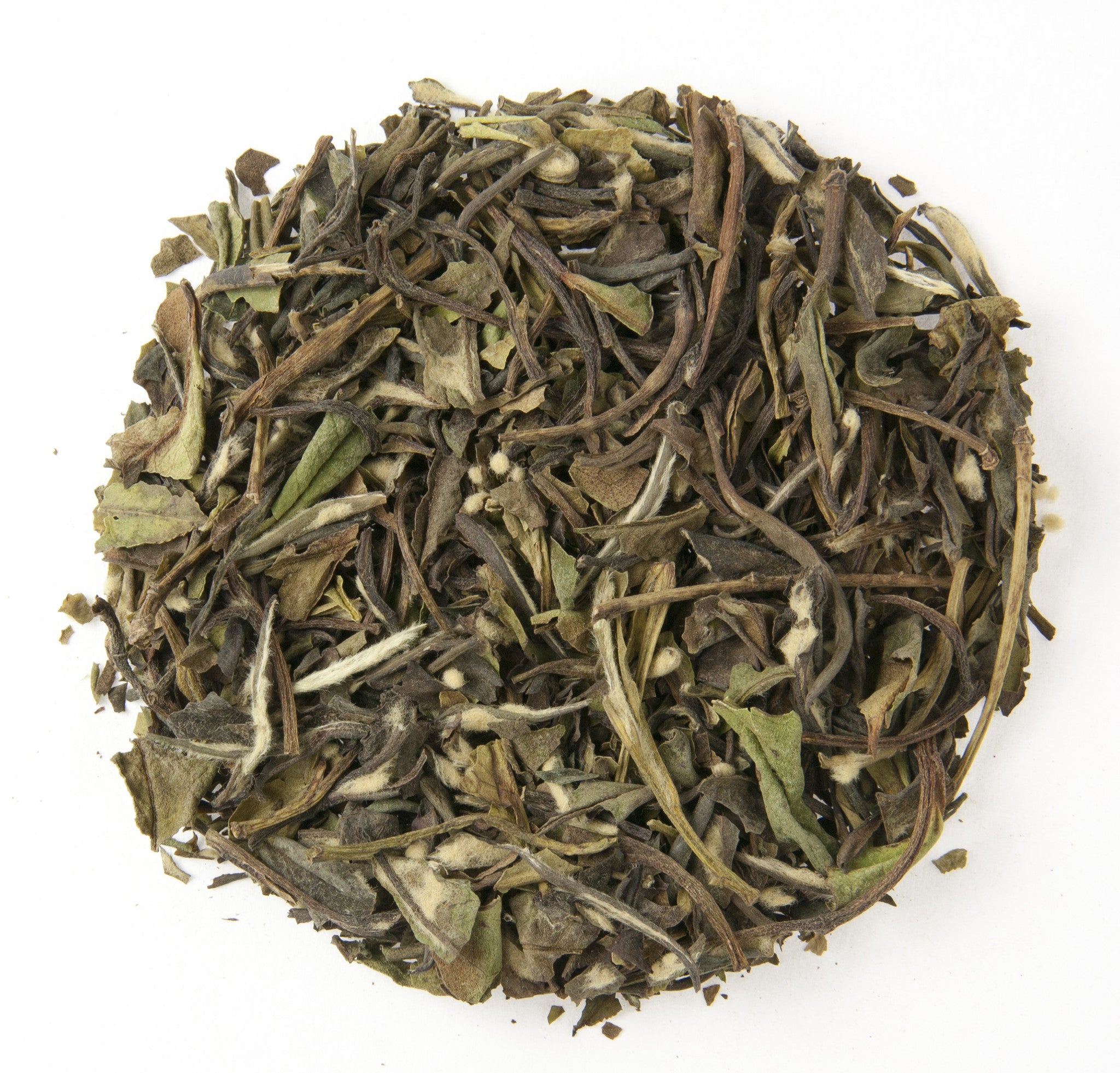 TANGIERS LEMON WHITE
