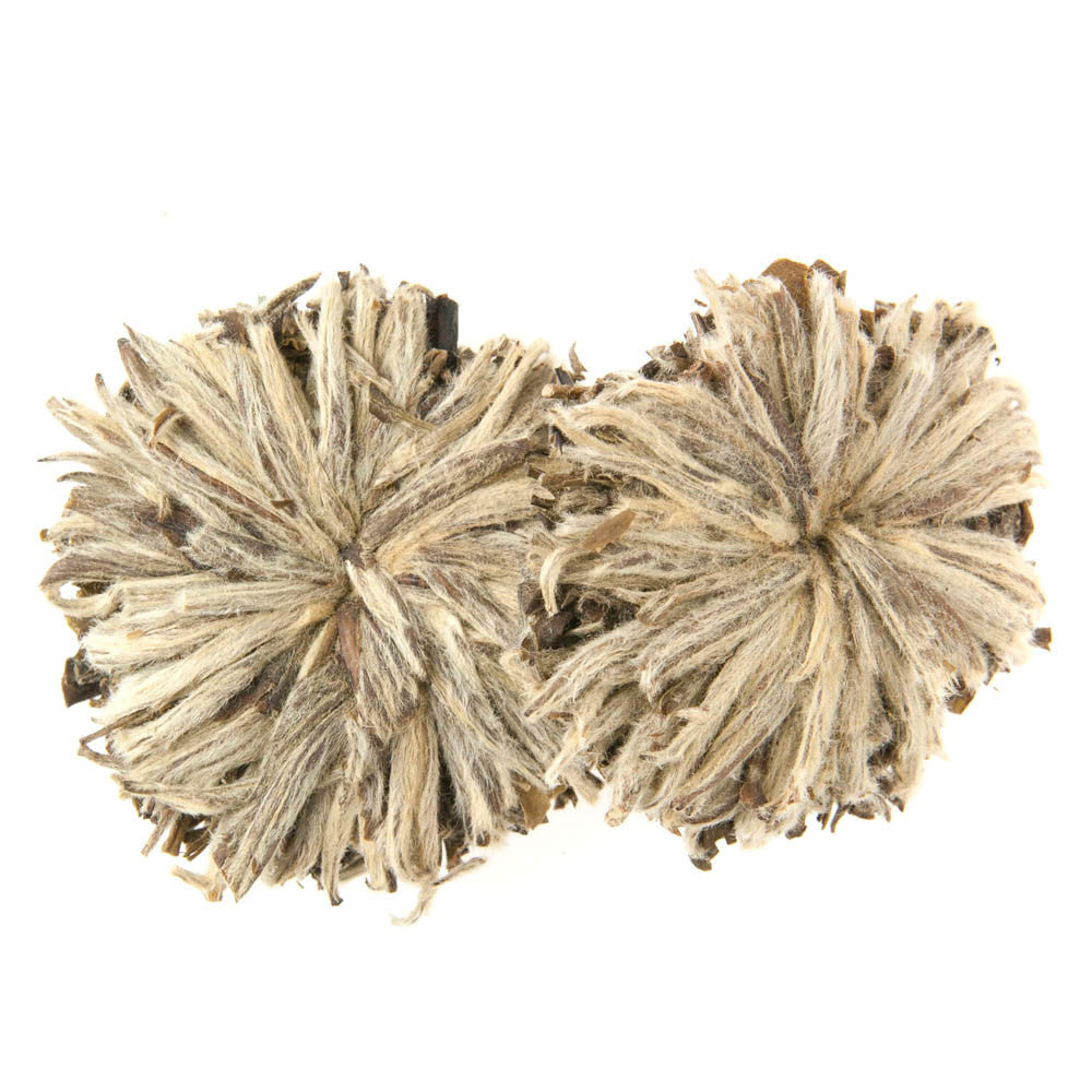 JASMINE BAI MU DAN