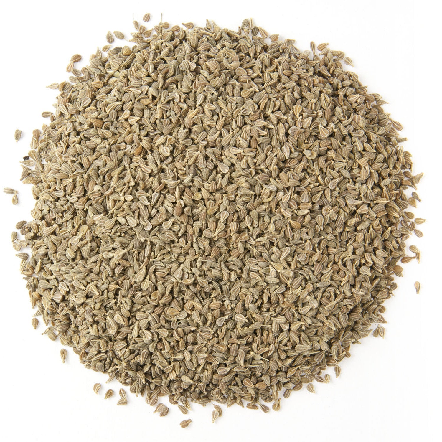ORGANIC FENNEL